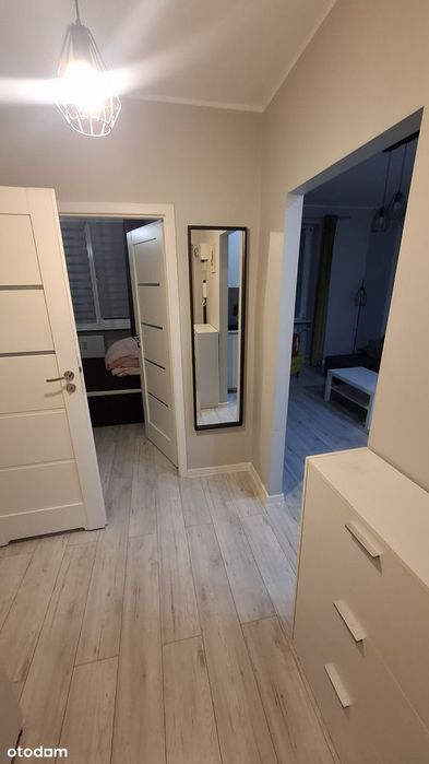 Dwa pokoje 36m bez pośrednika.