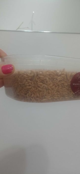 Gammarus suszony 700ml Pokarm Naturalny dla Ryb Żółwi Gadów Ptaków