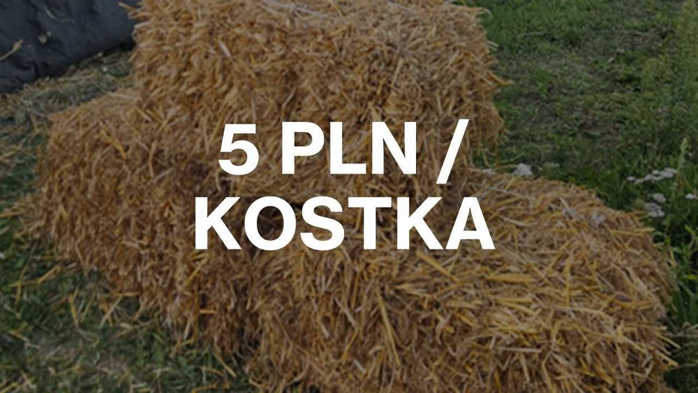 słoma kostki snopki