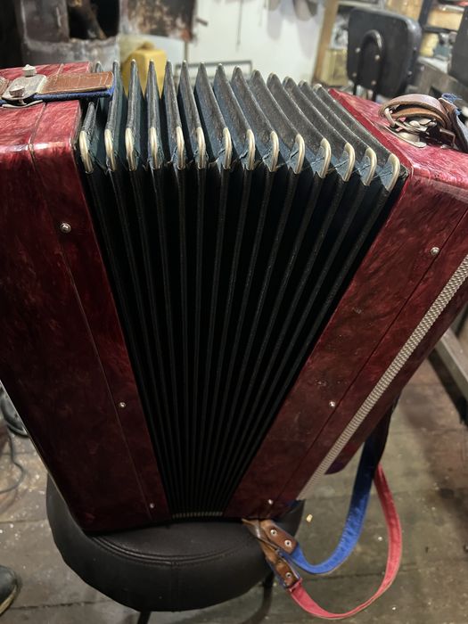 Баян    Тульский