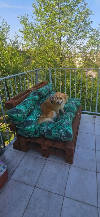 Palety siedzisko kanapa na balkon