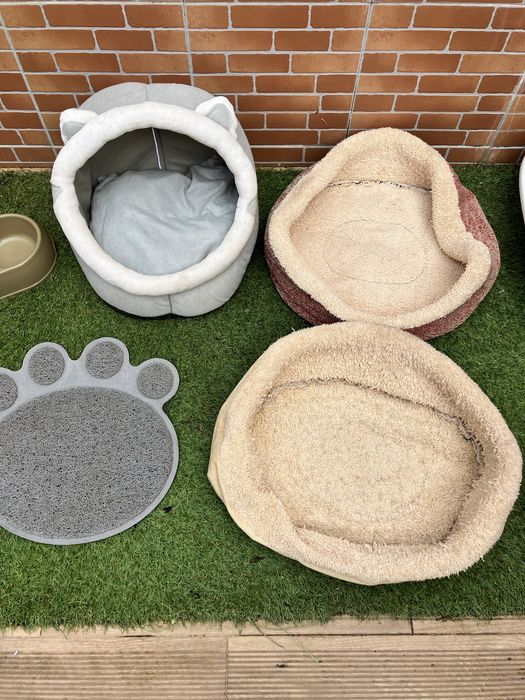 Acessorios para gato