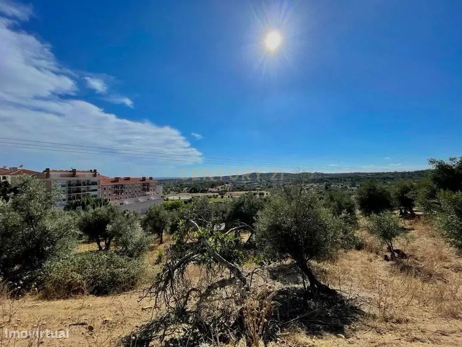 Terreno Misto | Portalegre — Sé E São Lourenço, Portalegre