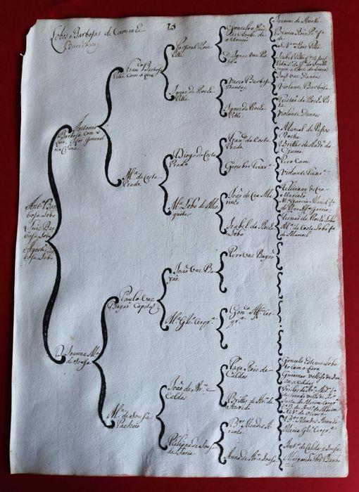 Lobos Barbosas de Caminha árvore costados 1746