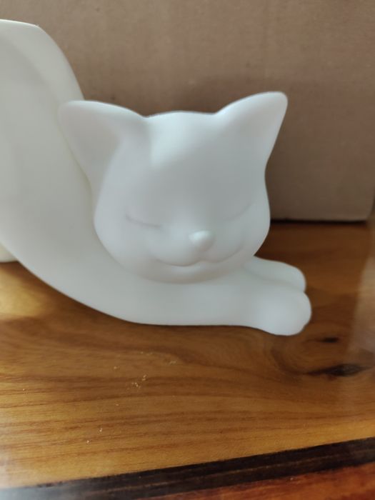 Doniczka rozciągający się kotek