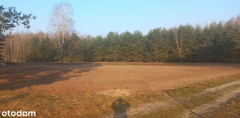 Działka 21 arów w Domatkowie (Zagranicze) – cisza, natura i przestrzeń