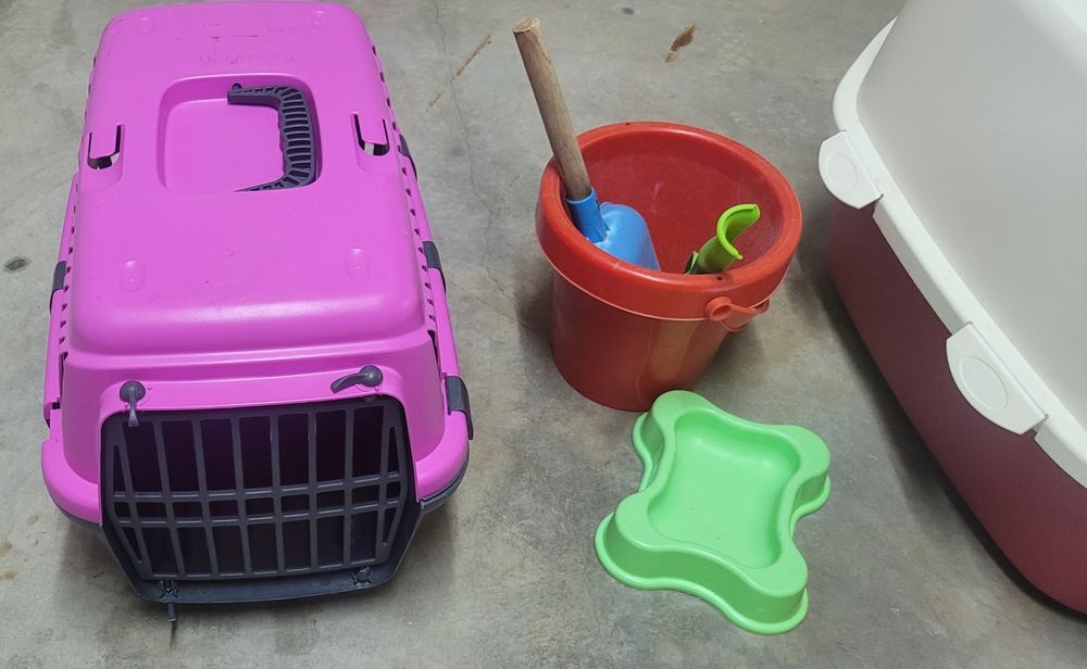 Caixa de areia + de transporte + arranhador para gato