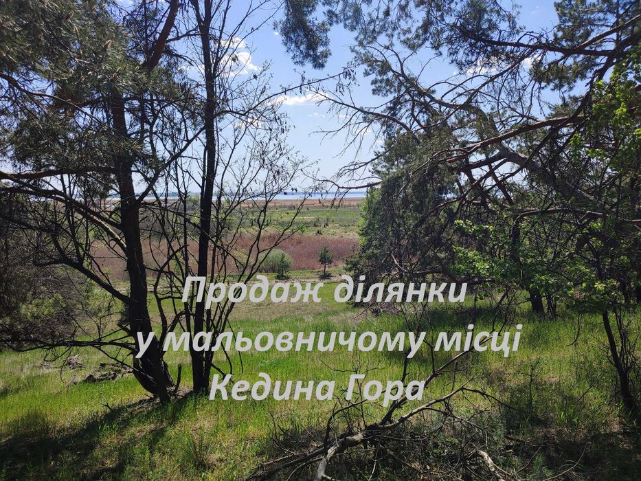 Земельна ділянка