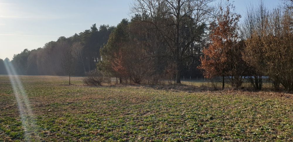 Duża działka budowlana MPZP, 9620m2 inwestycyjna