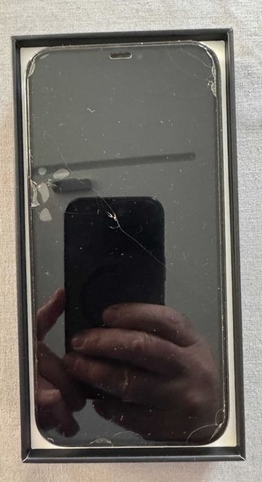 iPhone 12 Pro Max 128 GB Pacific Blue