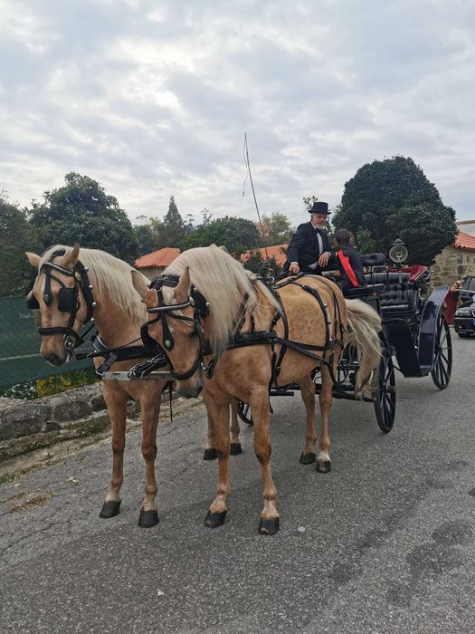 Eventos com charrete de cavalos