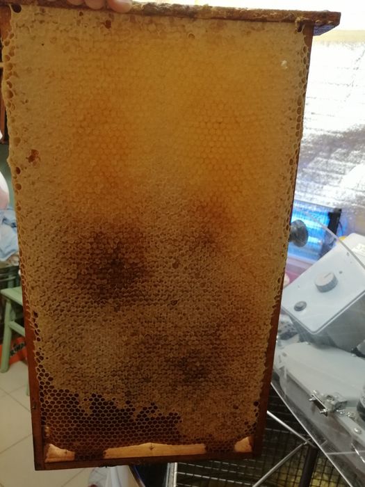 Sprzedam Miód z własnej pasieki