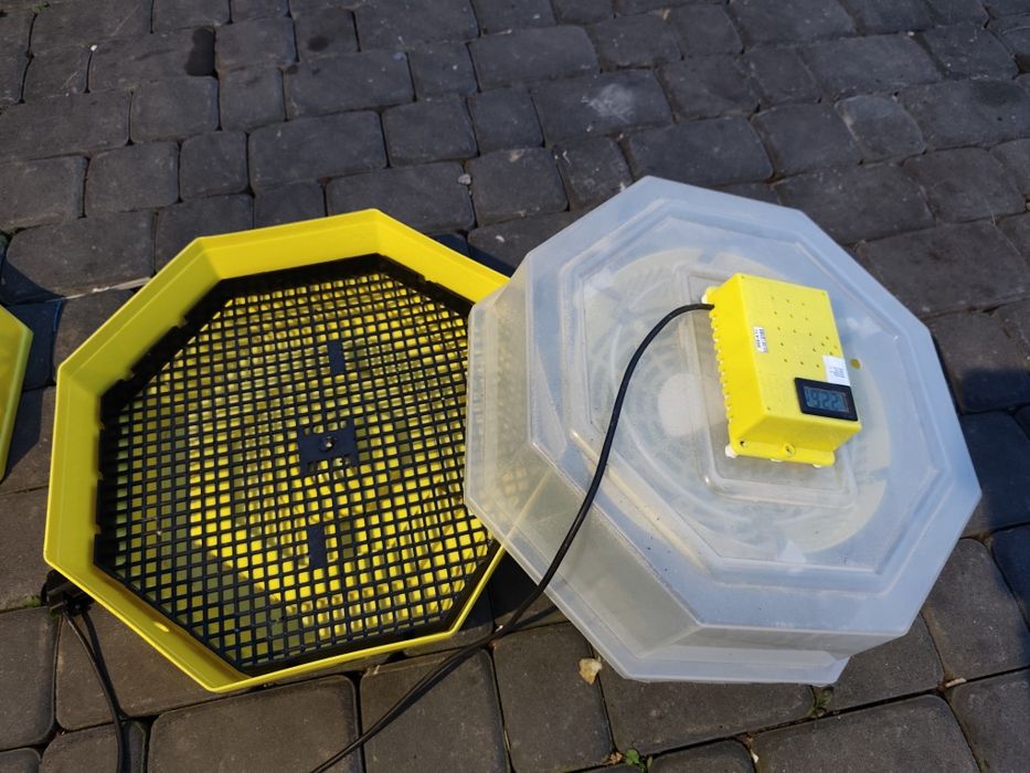 Inkubator CLEO 5