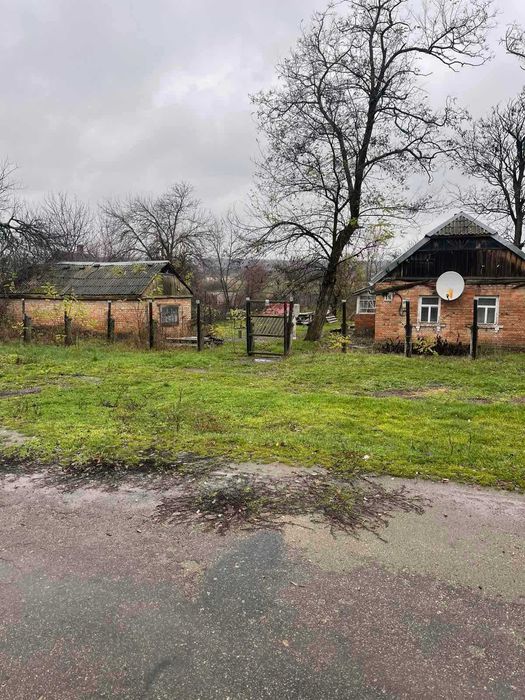 Продам будинок і земельну ділянку