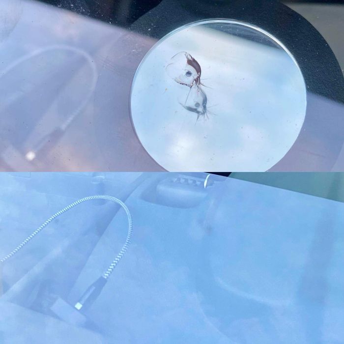 Naprawa szyb samochodowych, naprawa odprysków, naprawa pęknieć.