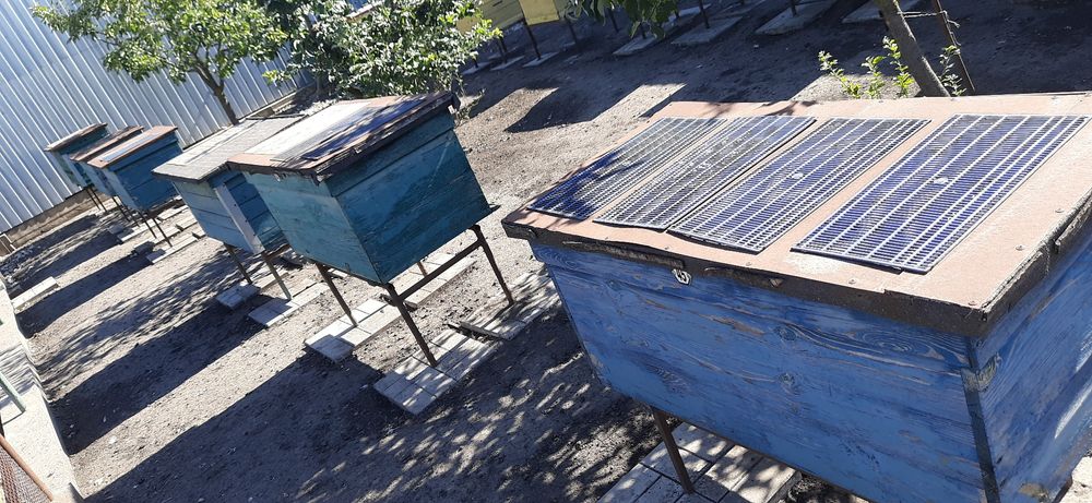 улики, лежаки, корпусні 12, вулики