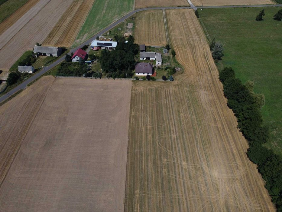 SPRZEDAM ZIEMIĘ ROLNĄ - Kiełczew Smużny Pierwszy