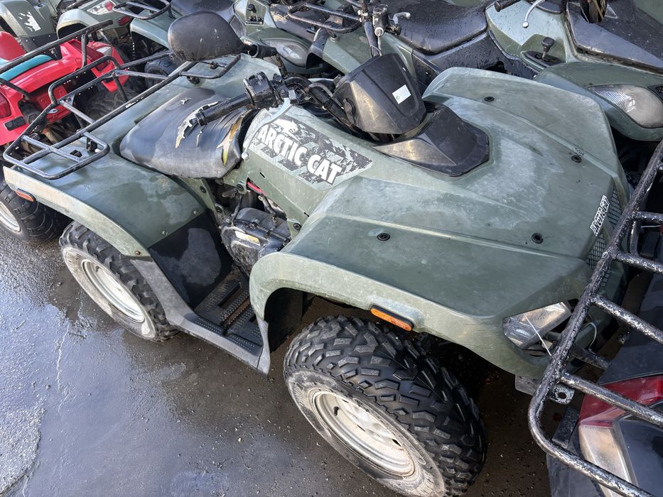 Arctic Cat
