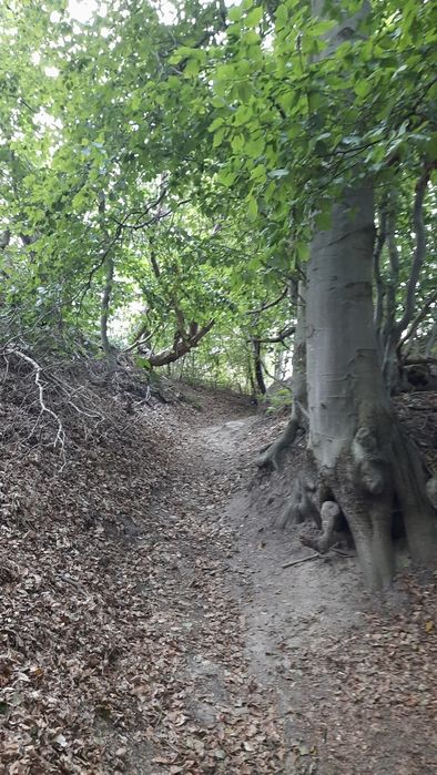 Domek nad samym morzem Jastrzębia Góra Biały