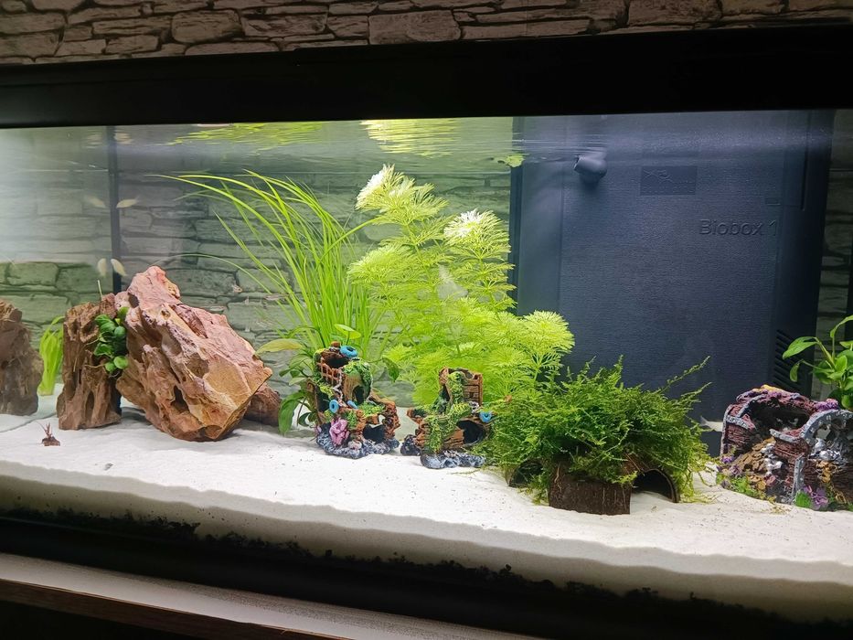 Aquário Atlantis Brussels 105 litros