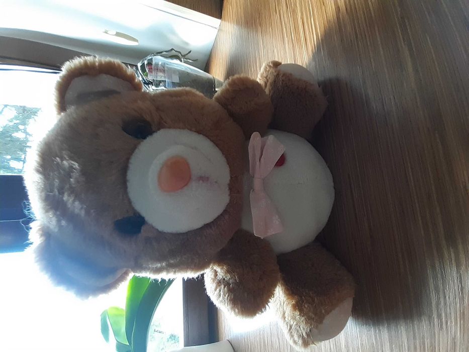 Miś z opcją nagrywania głosu zabawka