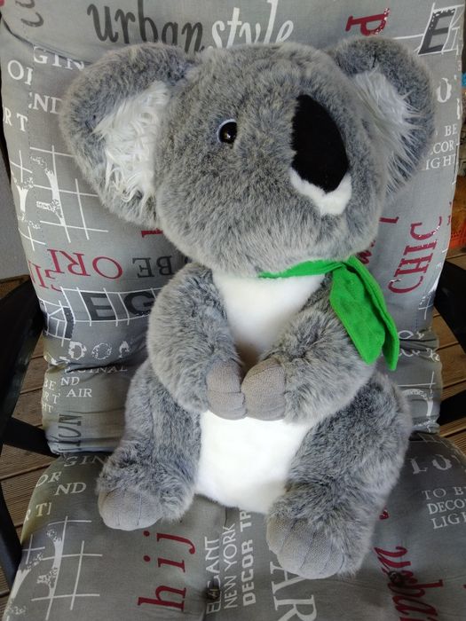Duży pluszowy miś koala