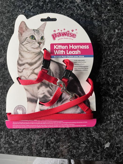 Caixas de areia gato / arnês de gatinho com trela