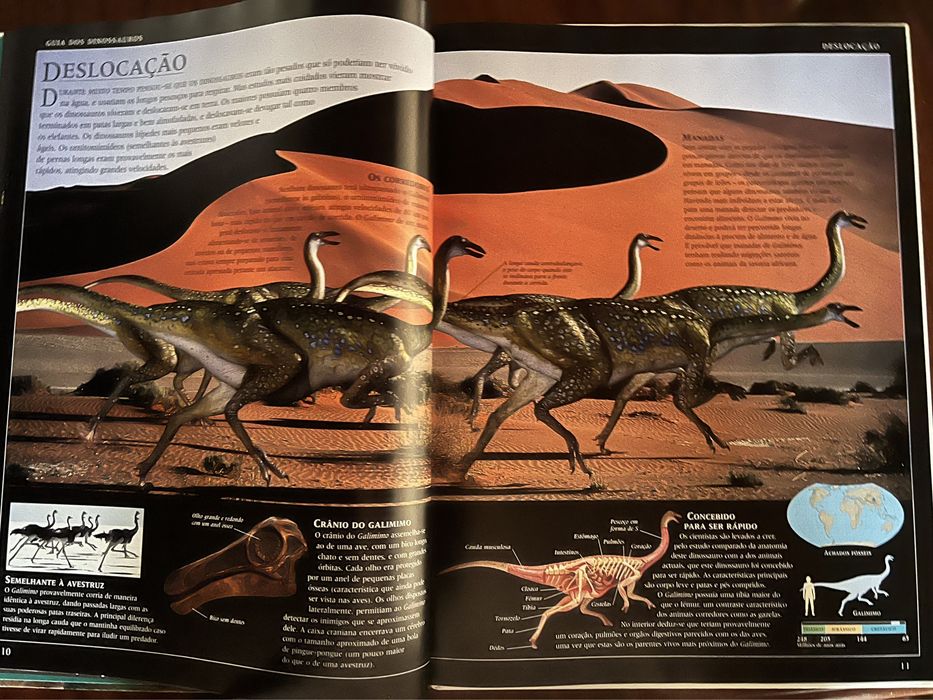 Livro Guia dos Dinossauros