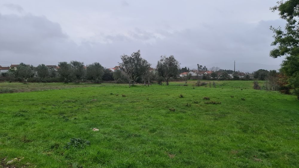 Terreno em Pinheiro de Coja