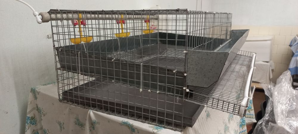 Продам клітку для перерілок