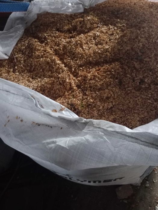 trocina sucha (dąb,brzoza,grab,buk,olcha)