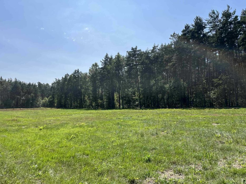 Działki budowlane ZALESNA (Gmina Bełchatów)