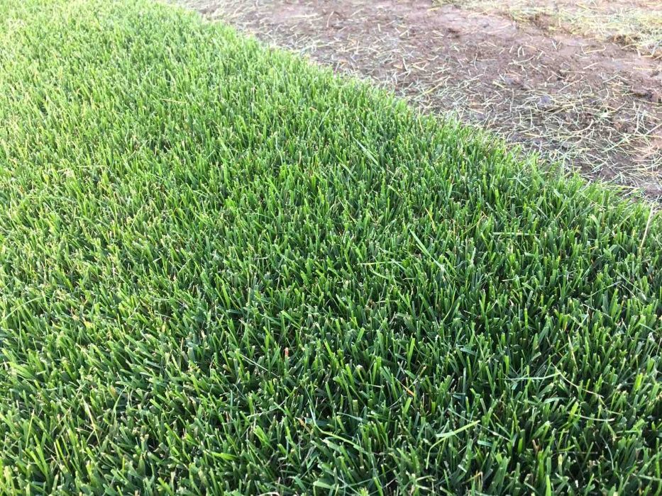 Купить Искусственная трава CALIFORNIA Газон GARDEN POOL 4м: отзывы, фото и харак