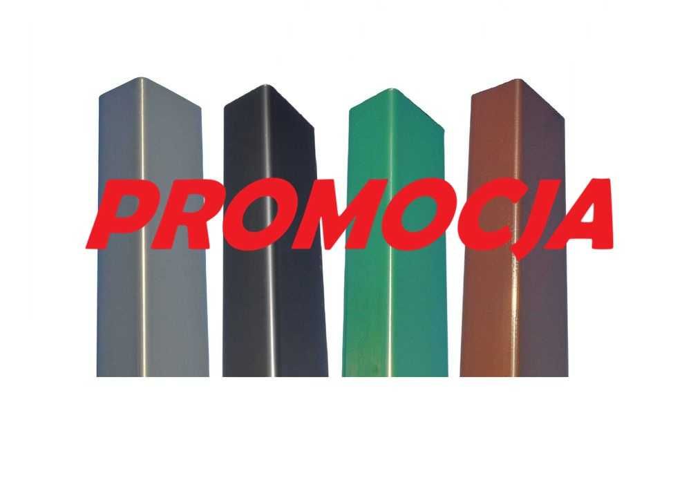 Słupek/Słupki ogrodzeniowe 60x40, ścianka 1,5mm o wysokości 2,00 m