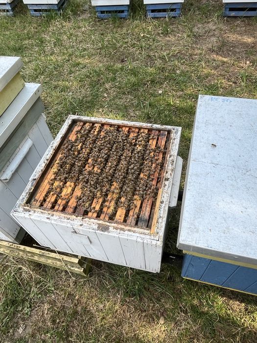 odkłady ,  maj 2026