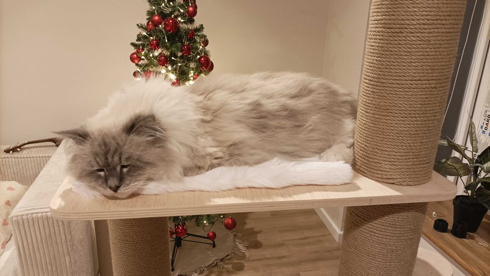 Wielopoziomowy drapak BOCIAN premium, handmade