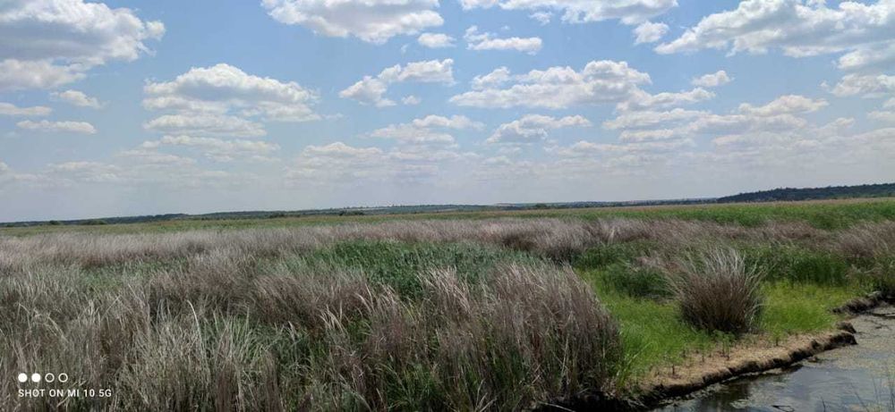 Продаж 100 га одним масивом під полив