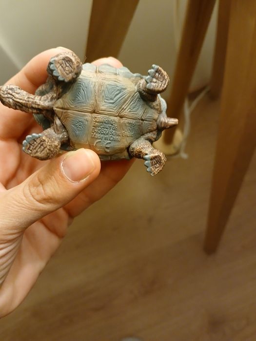 Tartaruga bebé Schleich