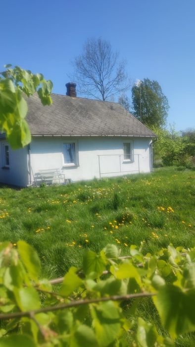 Siedlisko k. Puław