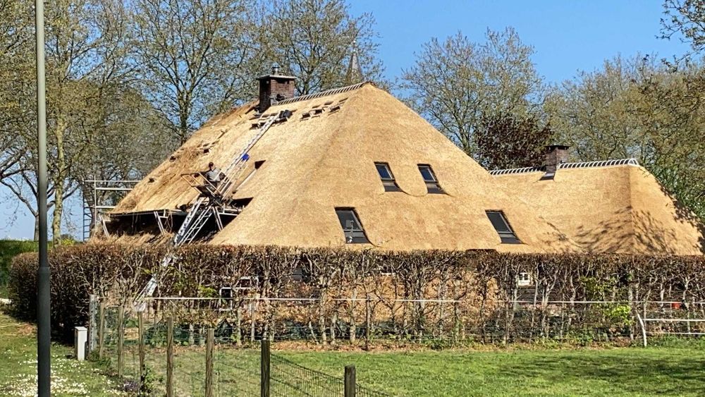 strzecha trzcina dachy trzcinowe