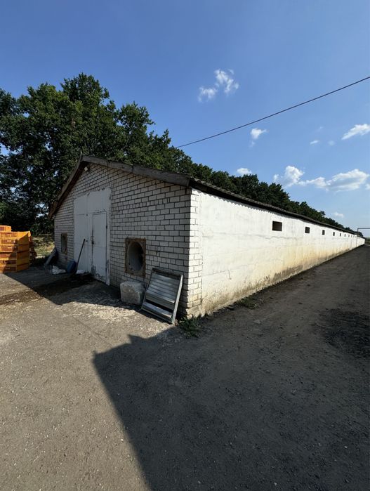 Продам помещение с. Голубовка