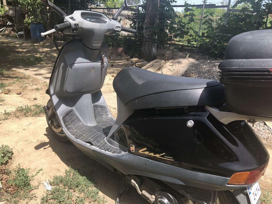 Honda lead 50              ,