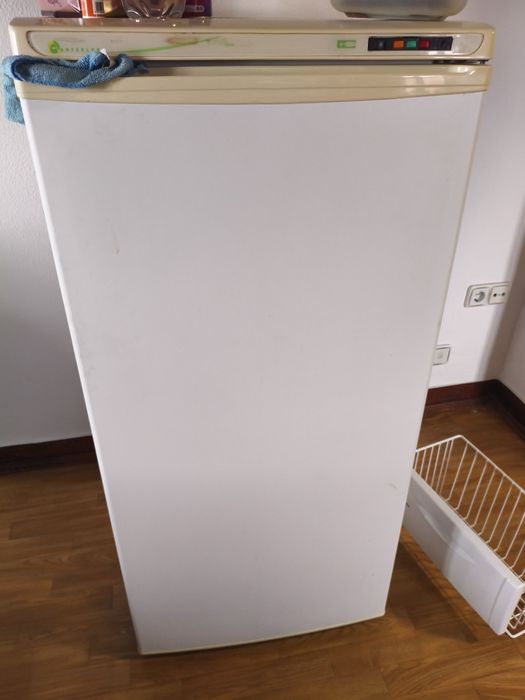 Arca congeladora vertical