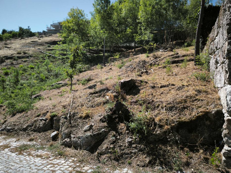 Terreno para venda(construção), em Sanche, com 2736m2