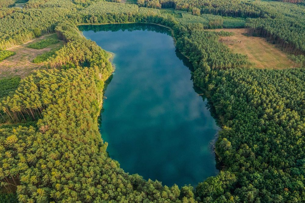 Działka -  Borowy Młyn