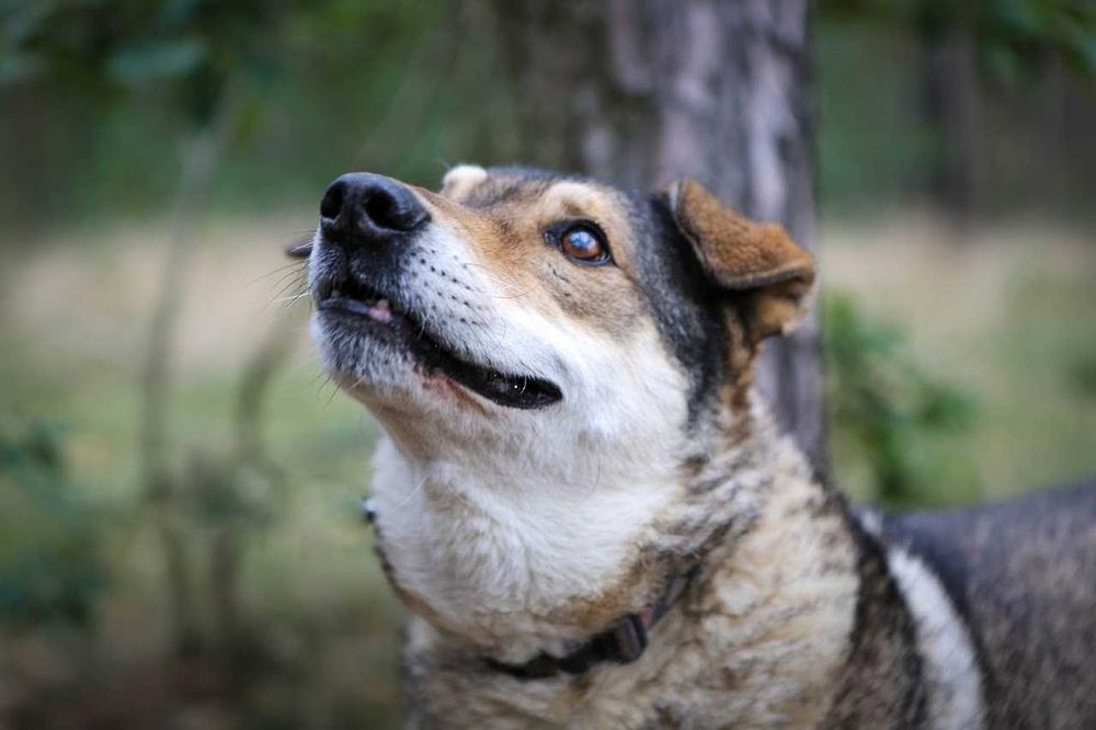 Ludwik - czy ktoś spojrzy na niego naszymi oczami?
