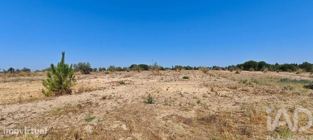 Terreno para construção em Branca de 7020,00 m2