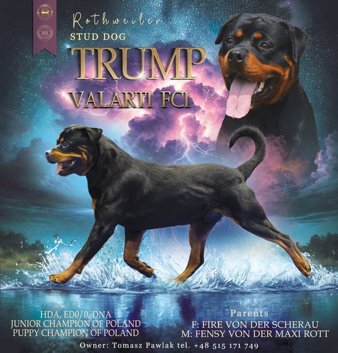 Reproduktor - Rottweiler