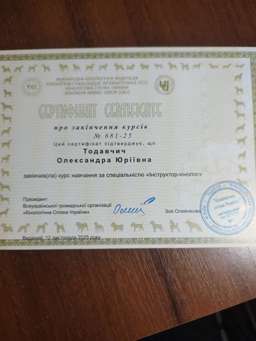 Кинолог дрессировка собак