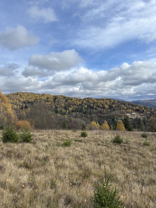 Продам земельну ділянку